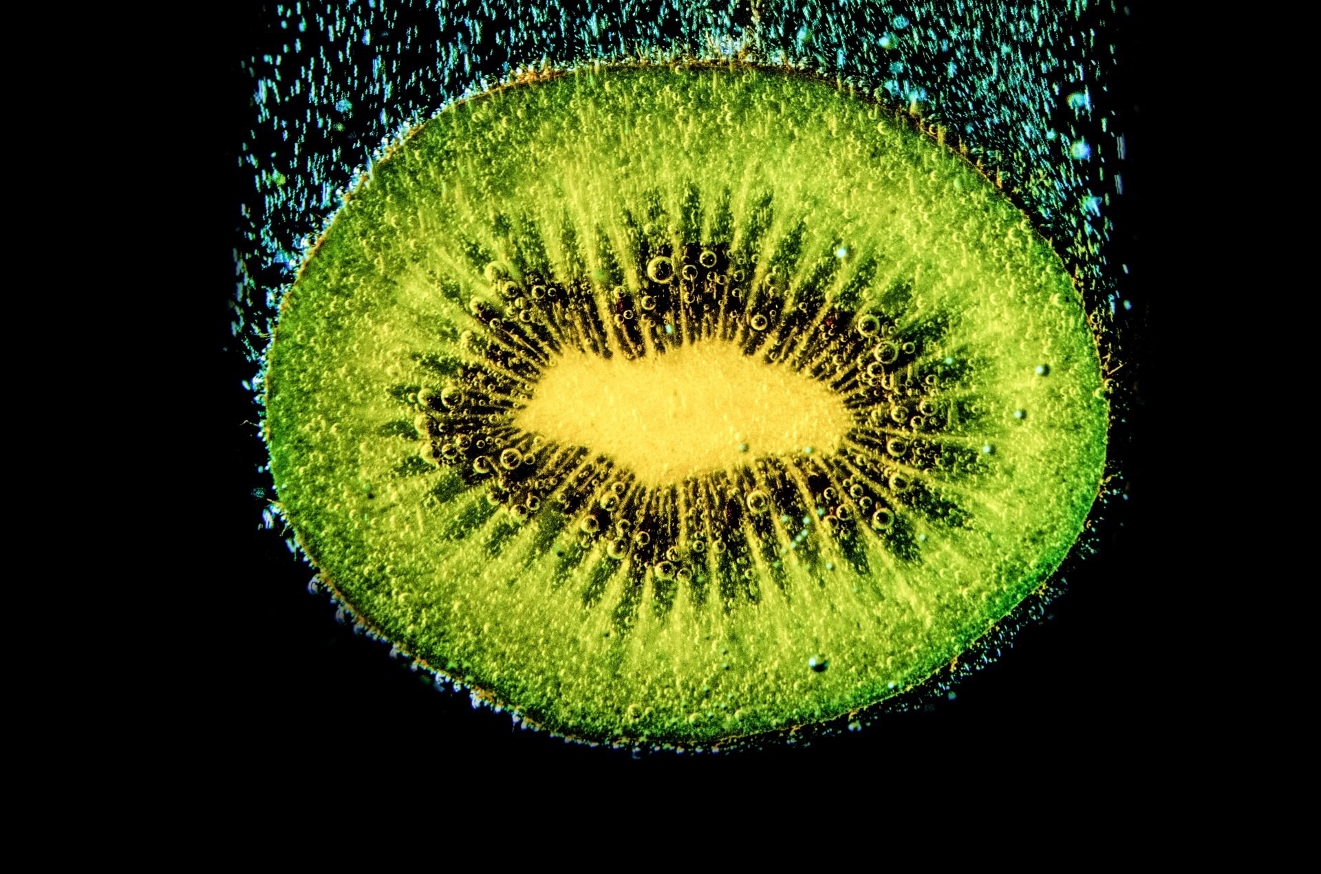 Kiwi